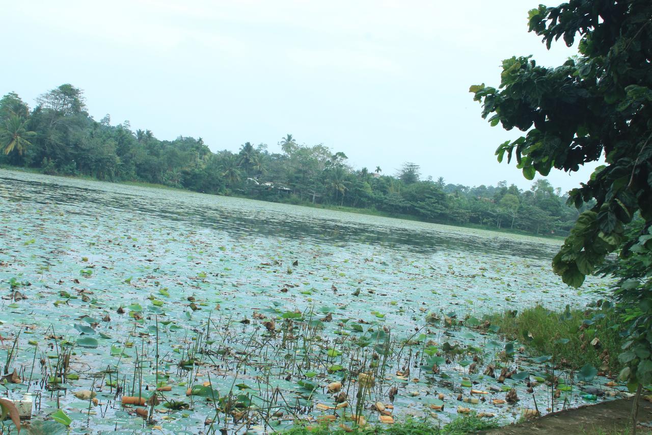 Lake View Villa Mirissa Luaran gambar