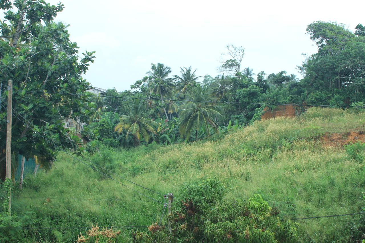 Lake View Villa Mirissa Luaran gambar